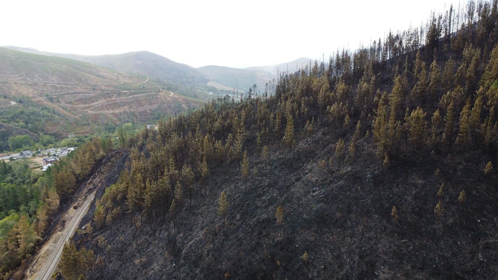 cast, cerca de quiroga 2.JPG