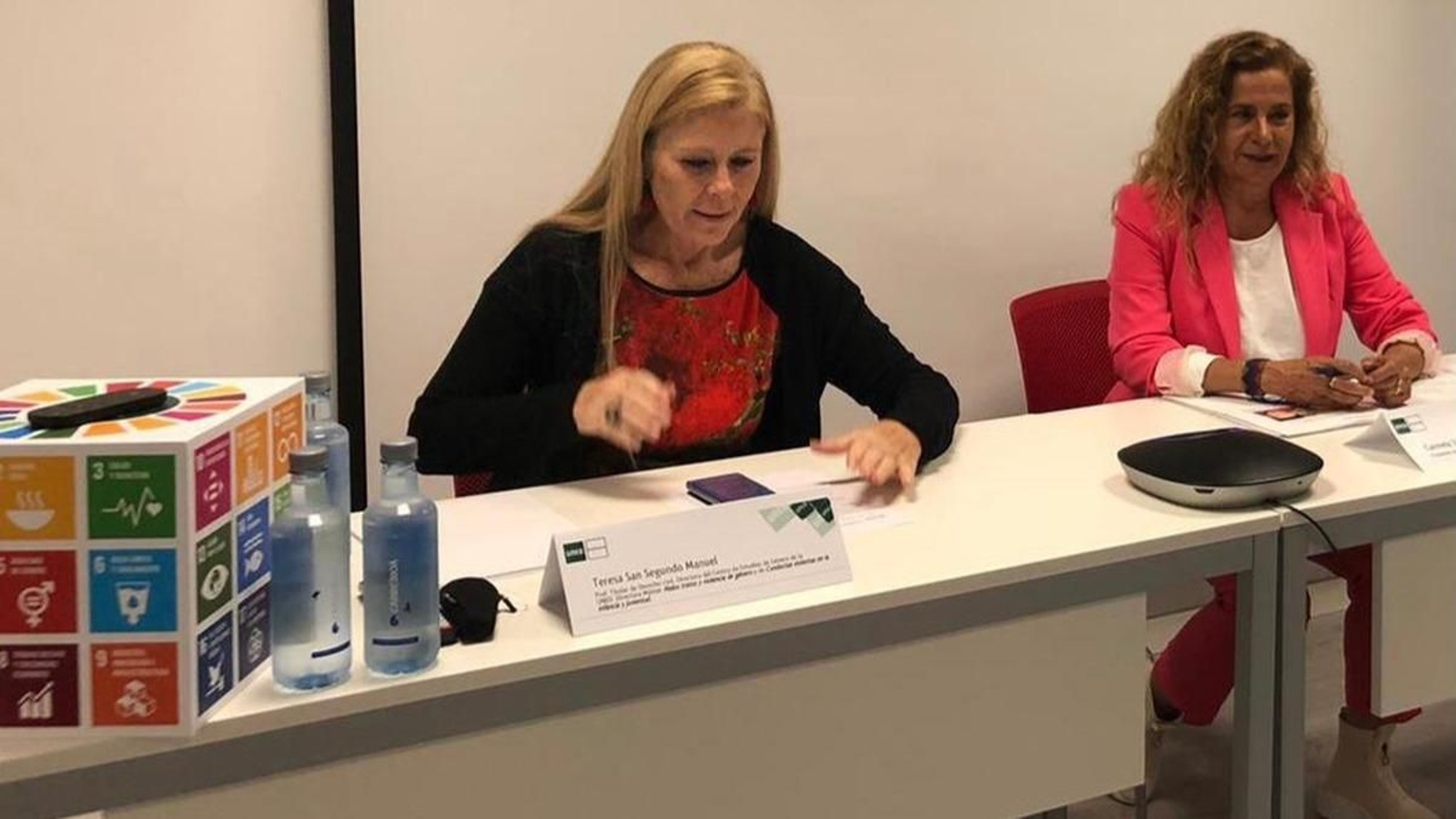 Teresa San Segundo, directora del curso de violencia de género.