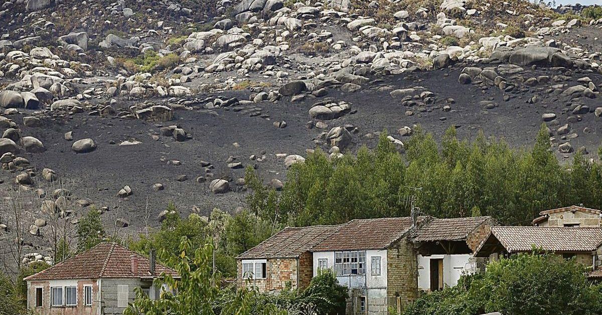 La UVigo recauda fondos para reforestar Carballeda de Avia