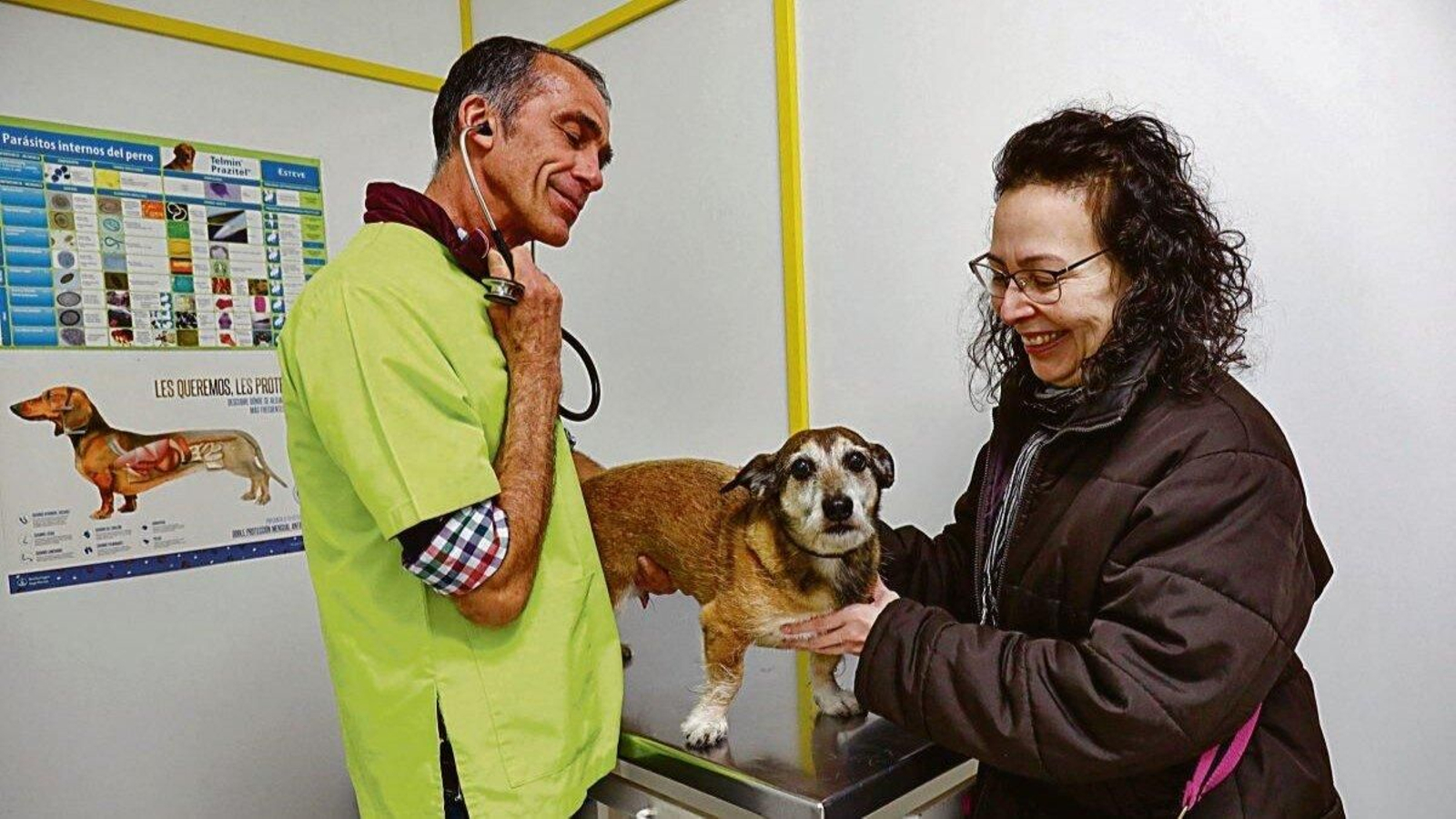 Vigo cuenta con un total de 43 clínicas veterinarias, la mayoría en la zona centro.