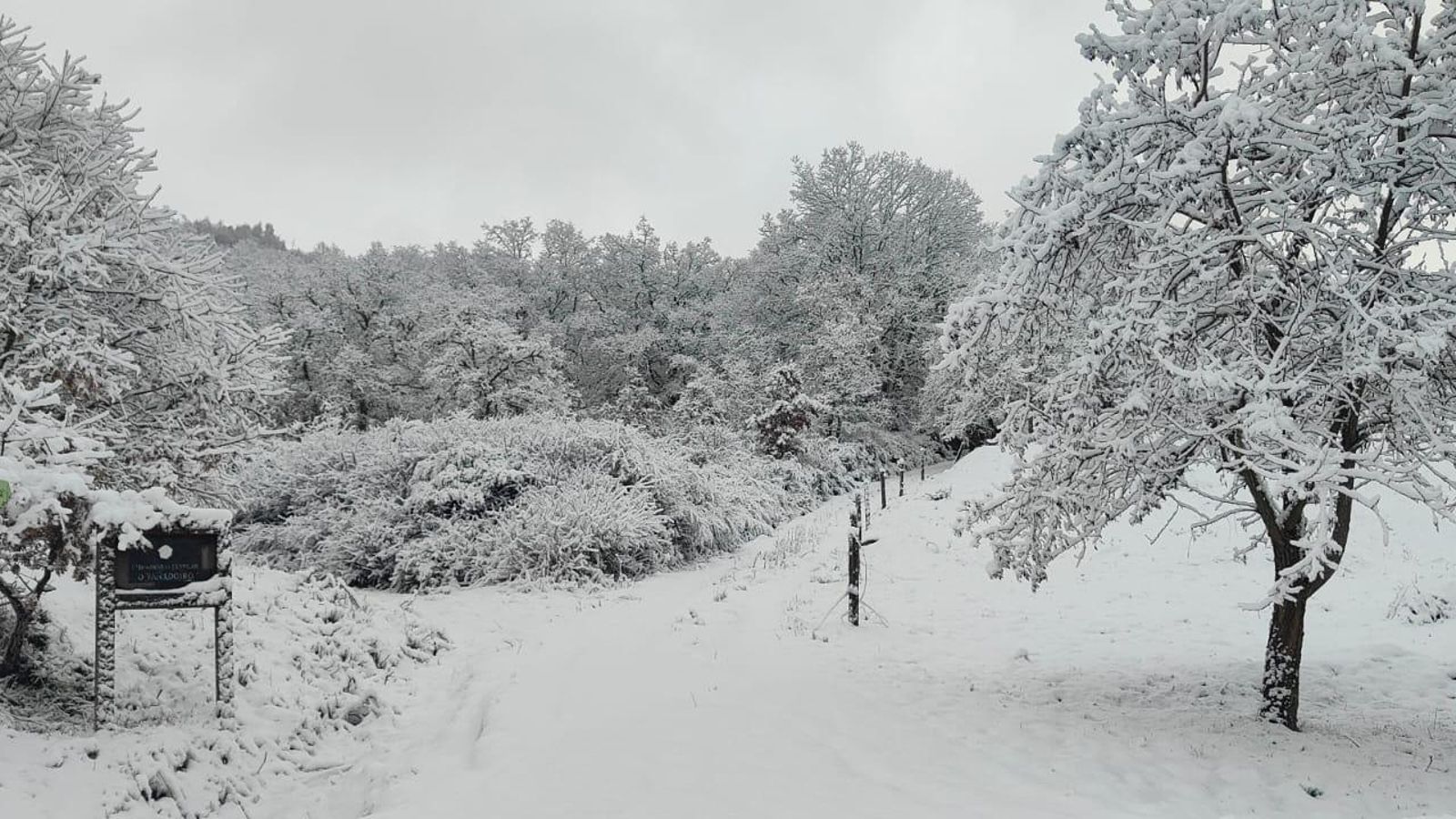 Pista hacia O Rañadoiro