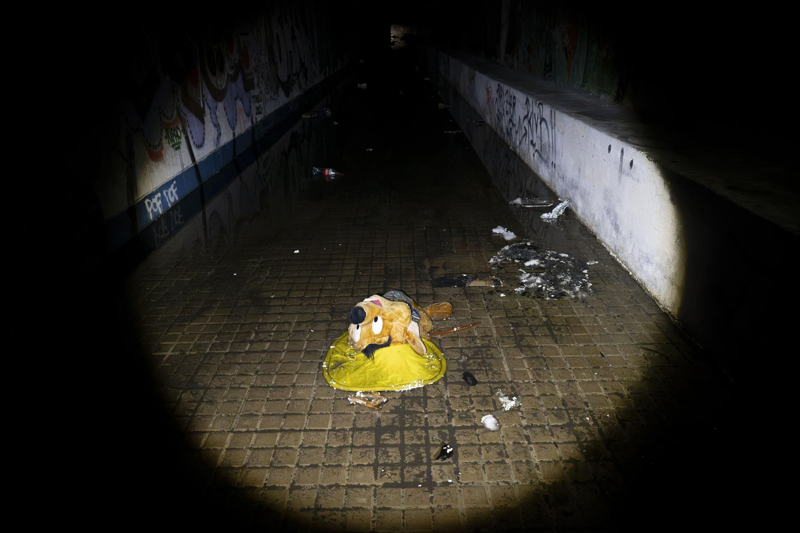 Galería | La vida bajo tierra en el túnel de la estación Empalme de Ourense