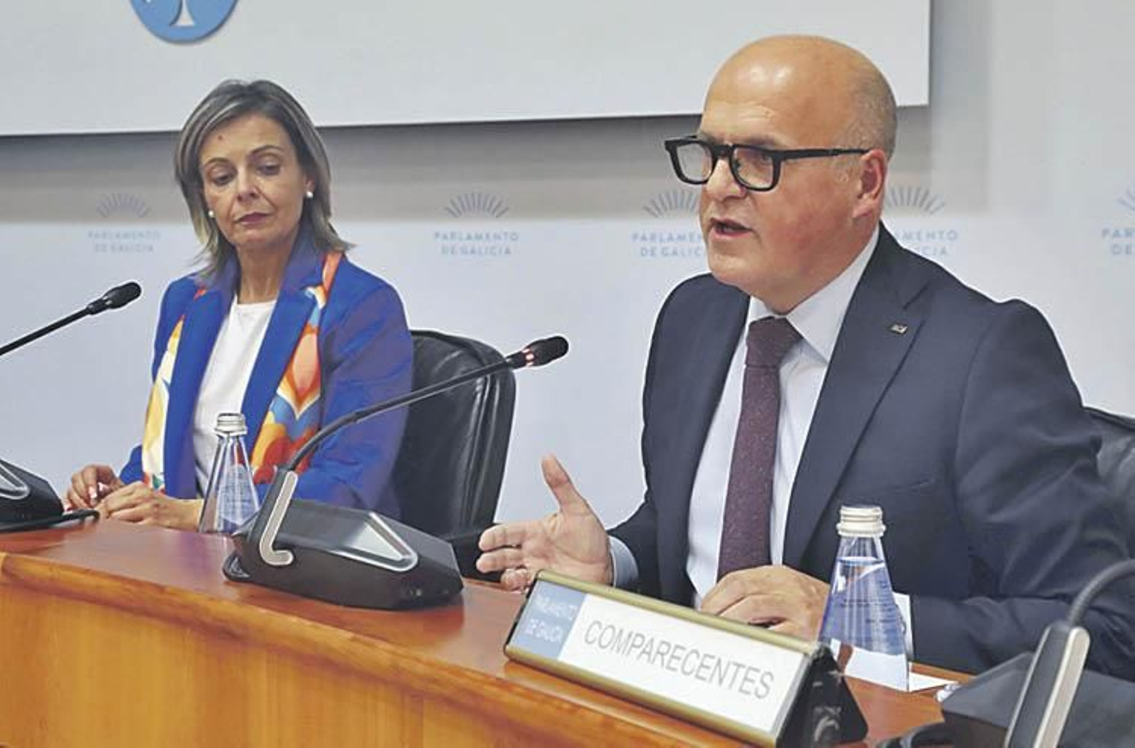 Manuel Baltar, ayer en la comisión del Parlamento.