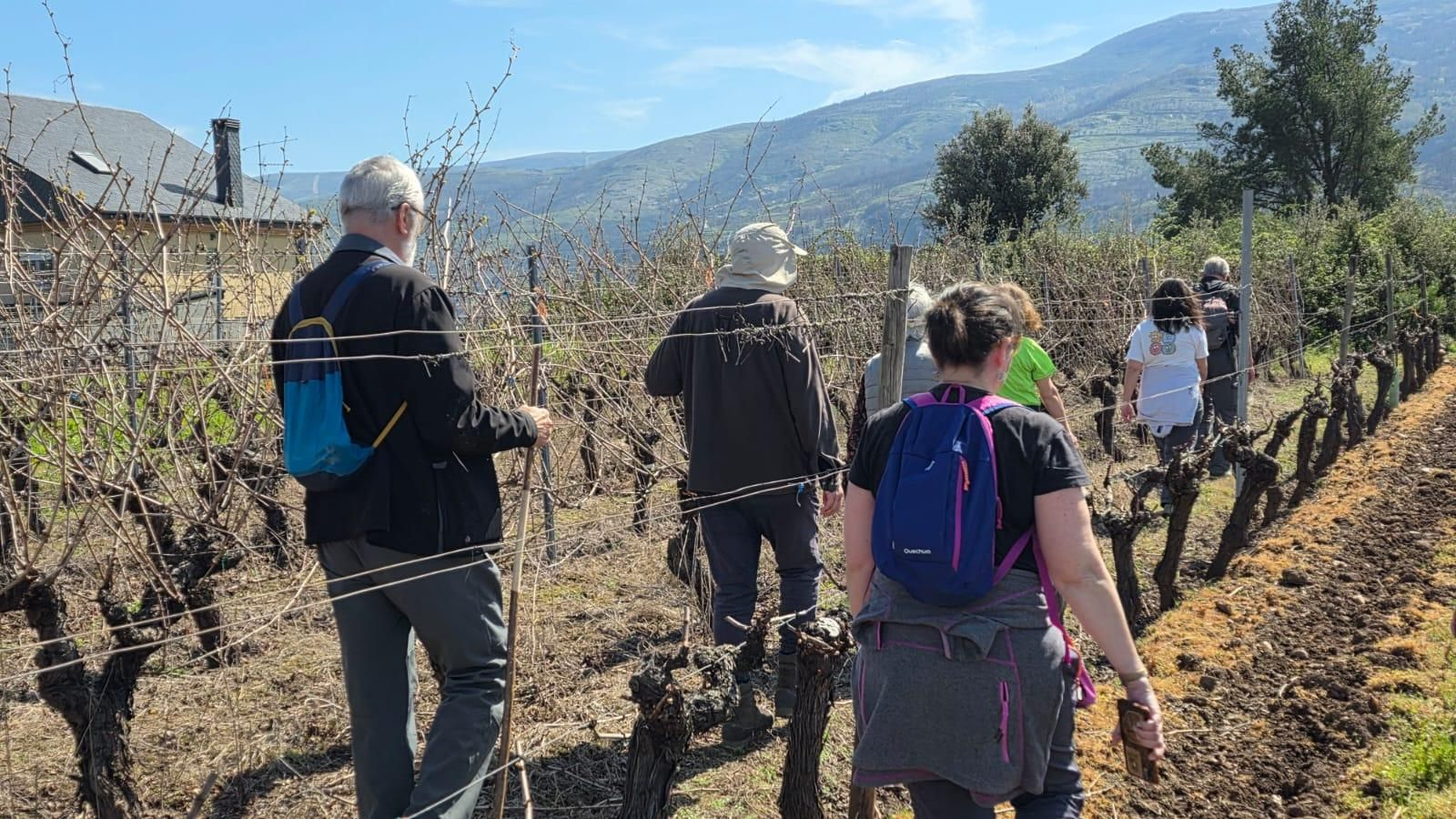 Una ruta que muestra la riqueza arqueológica de Vilamartín de Valdeorras