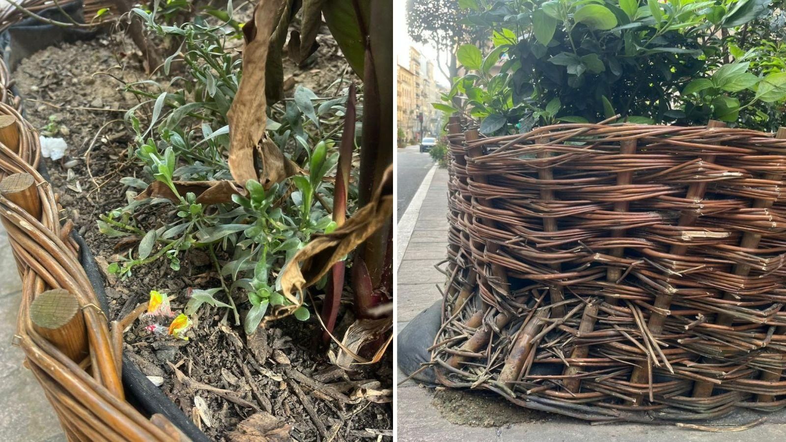 Jardineras de la rúa Bedoya con basura.