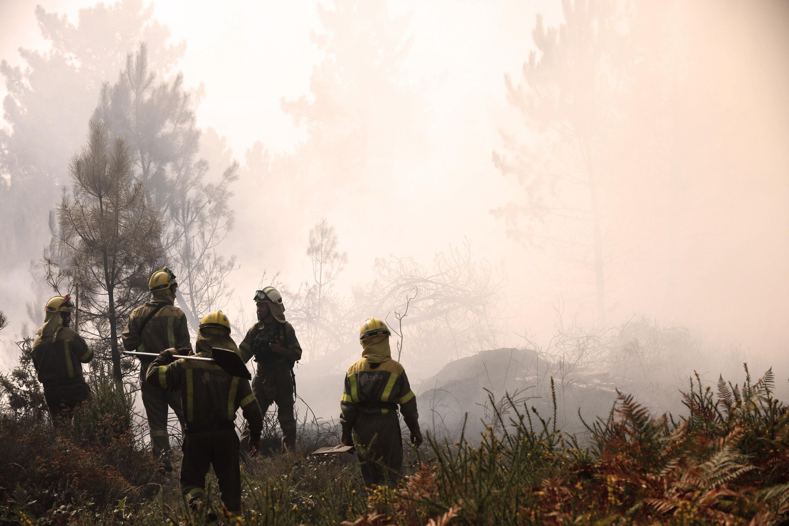 Incendio forestal en Pereiro de Aguiar, próximo al colegio Ben Cho Shey. (FOTO: José Paz)