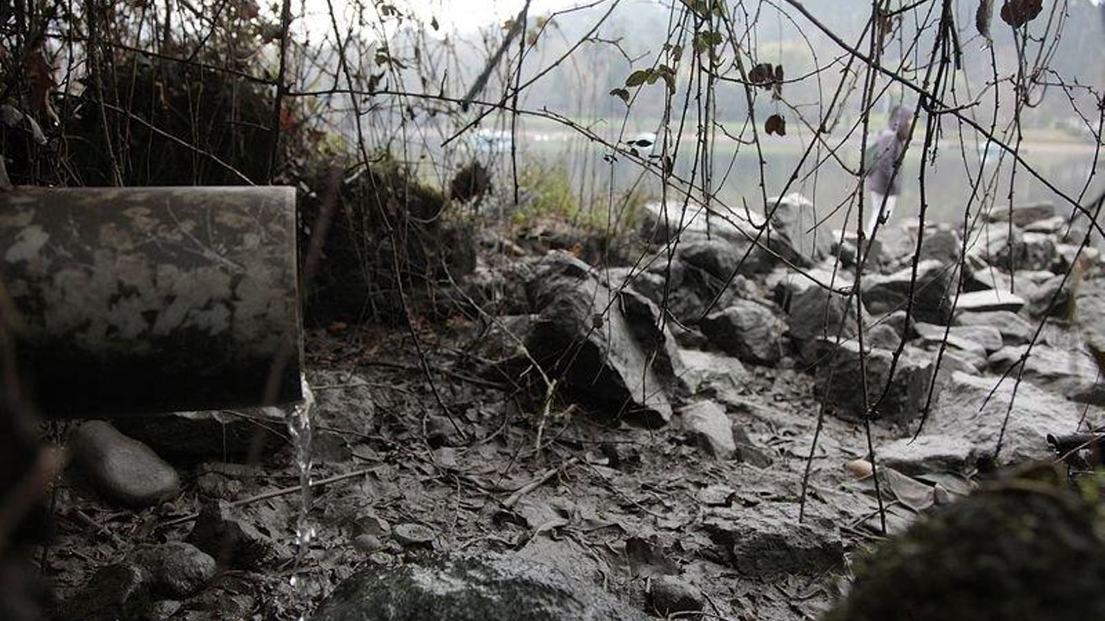 ma_2020_01_28_10895_resultado