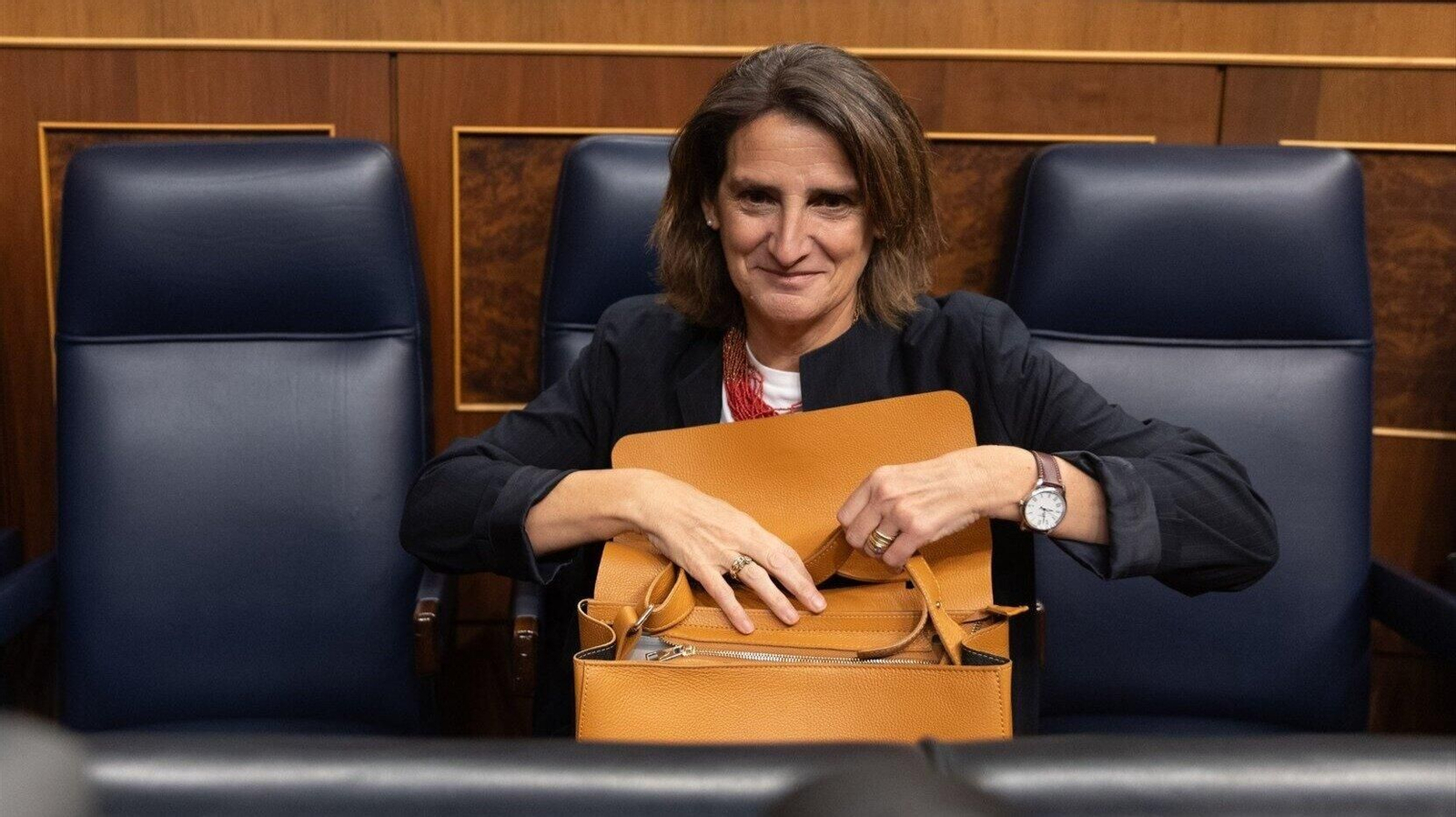 La vicepresidenta tercera y ministra para la Transición Ecológica, Teresa Ribera, durante una sesión de control al Gobierno. // EP