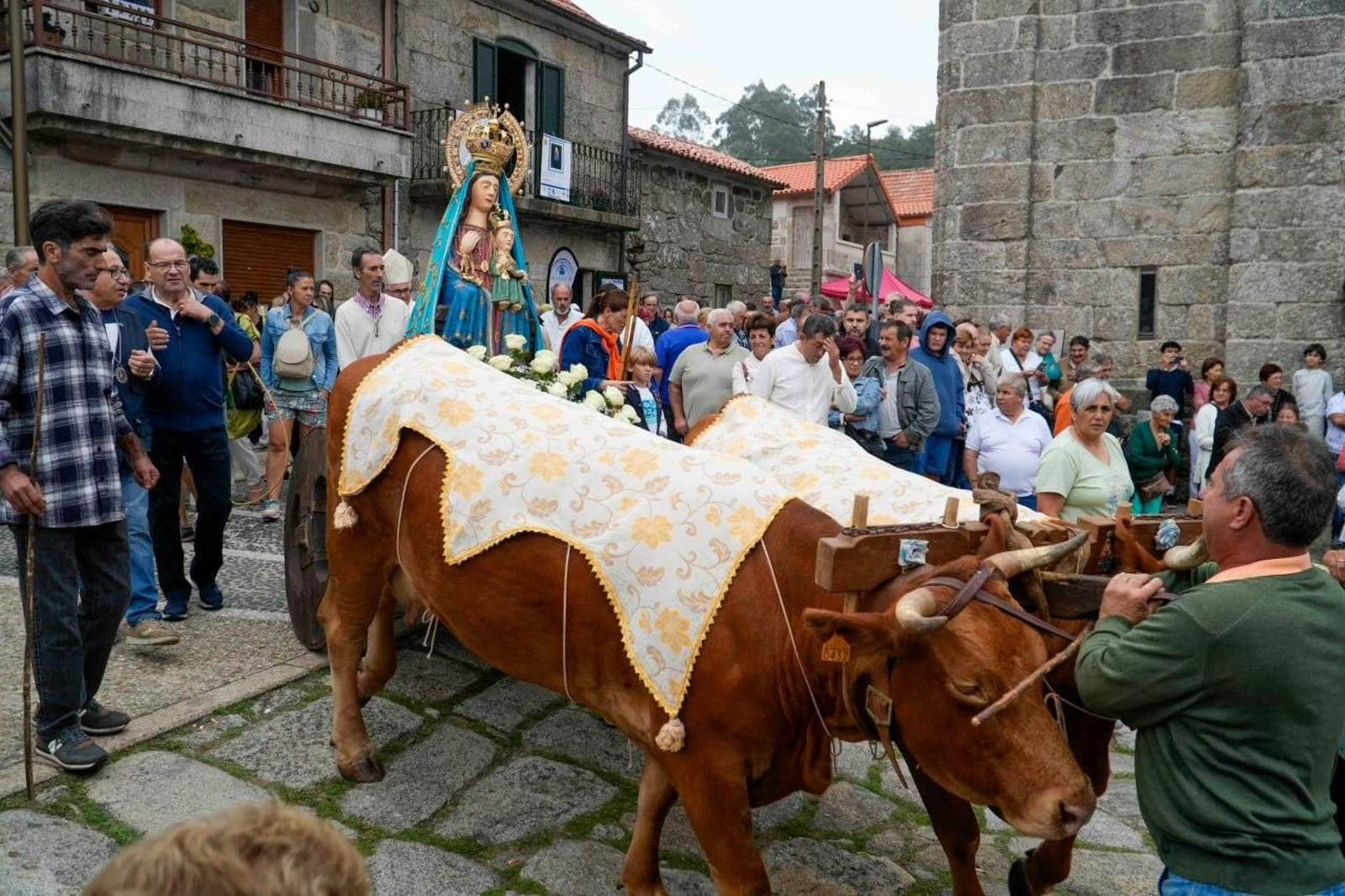 Galería | El carro de bueyes vuelve a llevar a la Virgen de A Franqueira