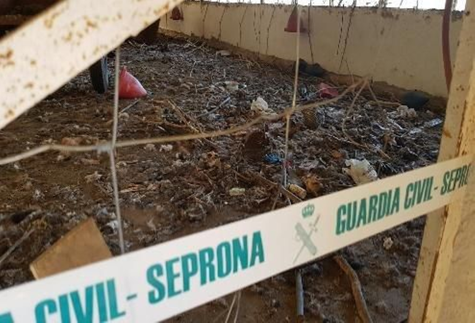 Interior de la explotación ganadera.