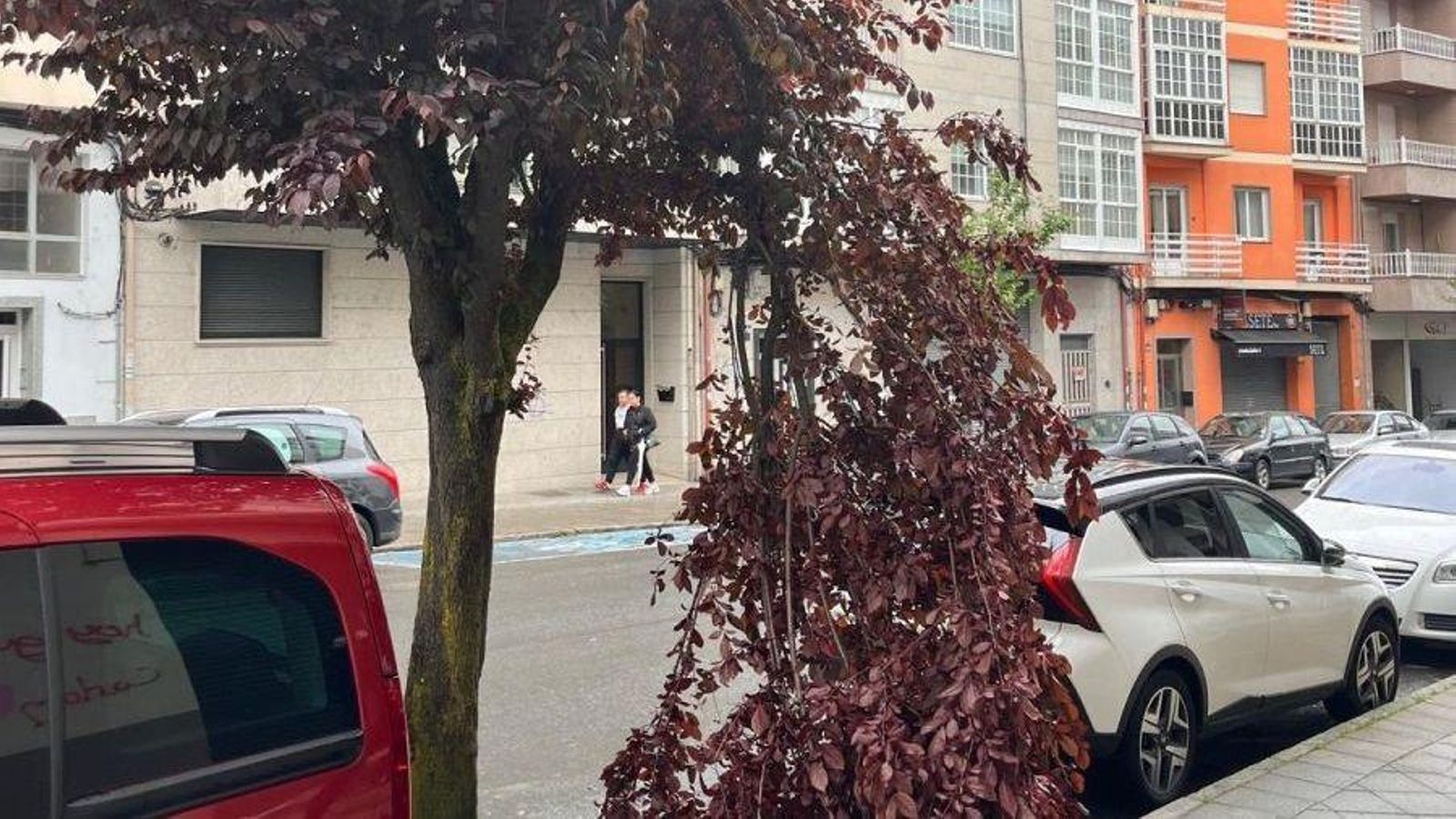 Rama rota y peligrosa