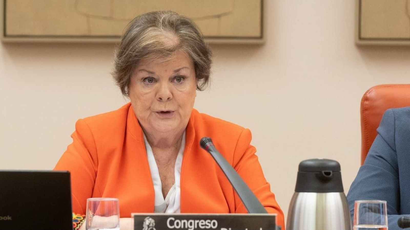 La presidenta del Tribunal de Cuentas, Enriqueta Chicano, en el Congreso.