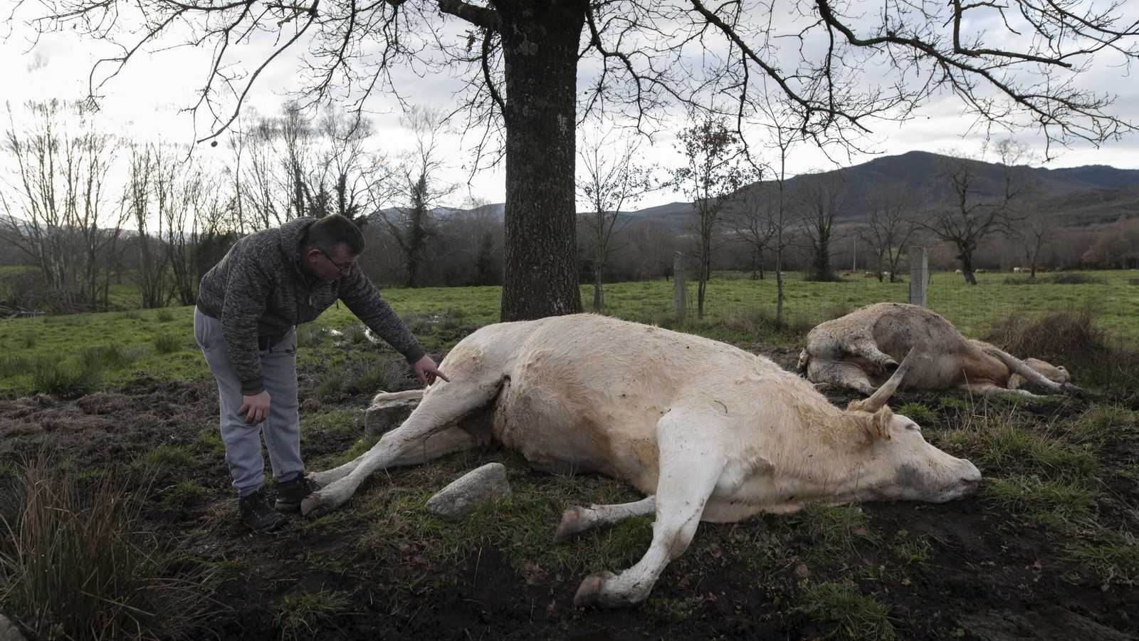 Señalando los daños.