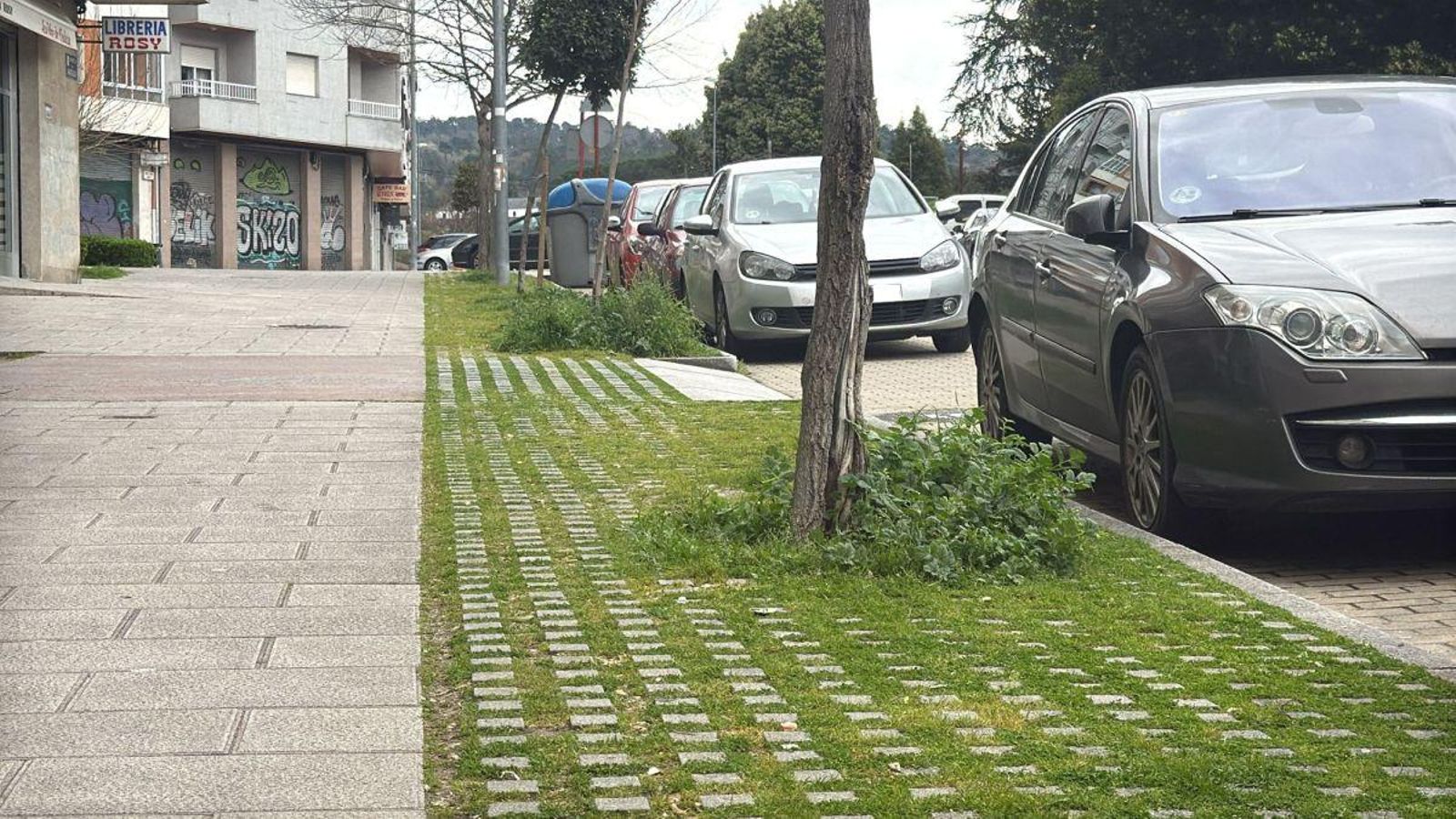 Selva metropolitana en la zona de A Cuña sobre Av Universidad.