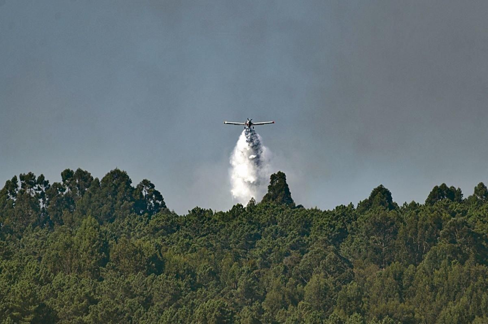 Intervención de un hidroavión en un incendio.
