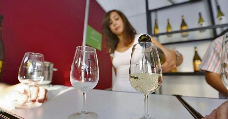 Agenda | ¿Qué hacer en Ourense hoy, viernes 7 de agosto?