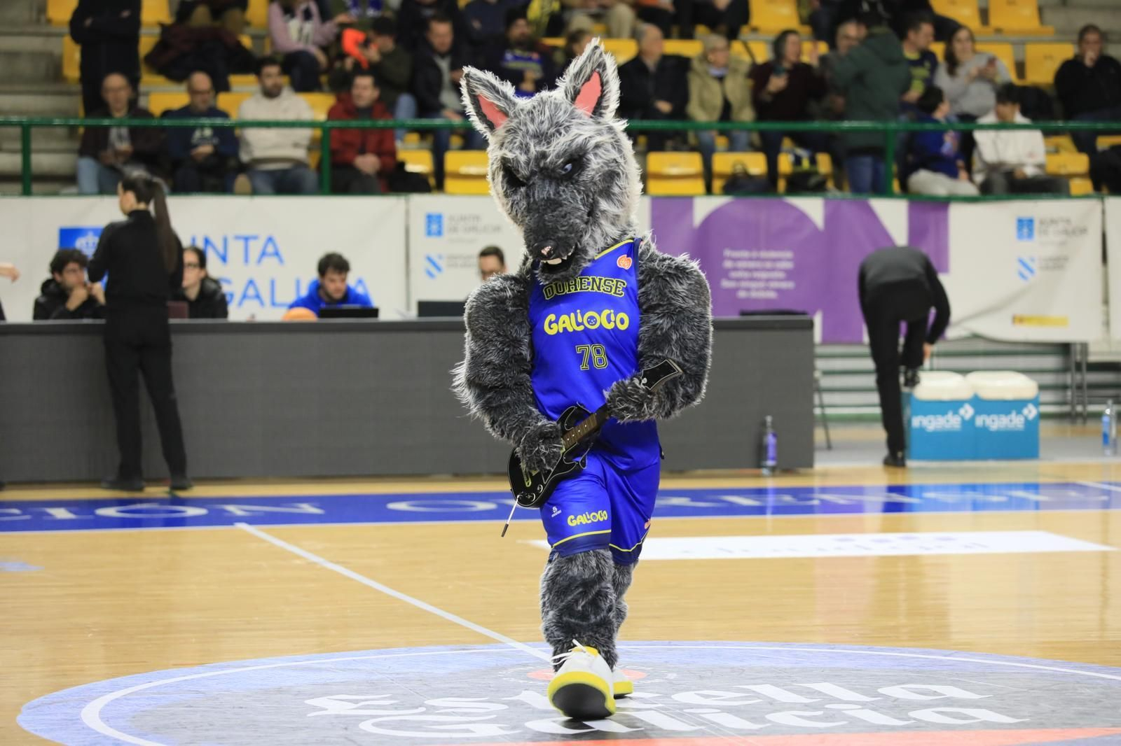 Galería | El Pazo responde al llamado del COB y disfruta del partido ante HLA Alicante