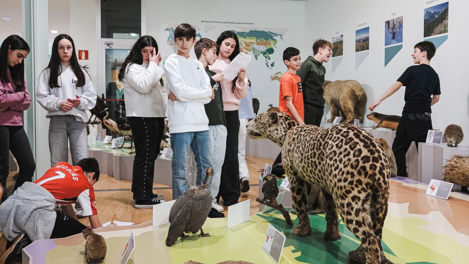 Visita do IES Xermán Ancochea a Santiago de Compostela