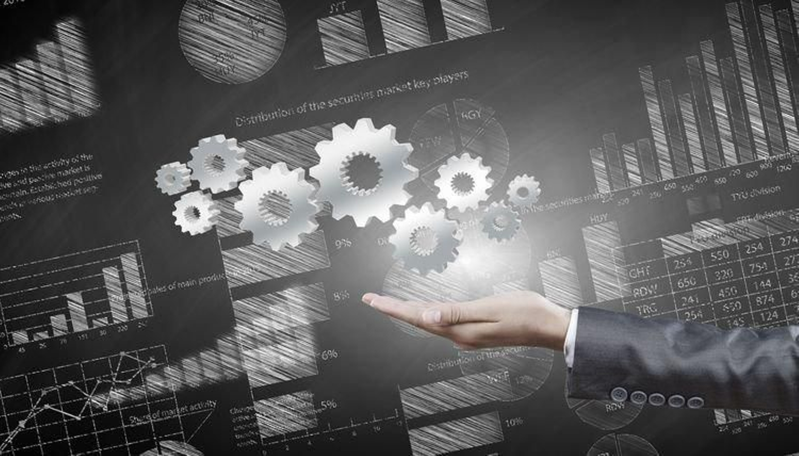 Radiografía de una empresa.