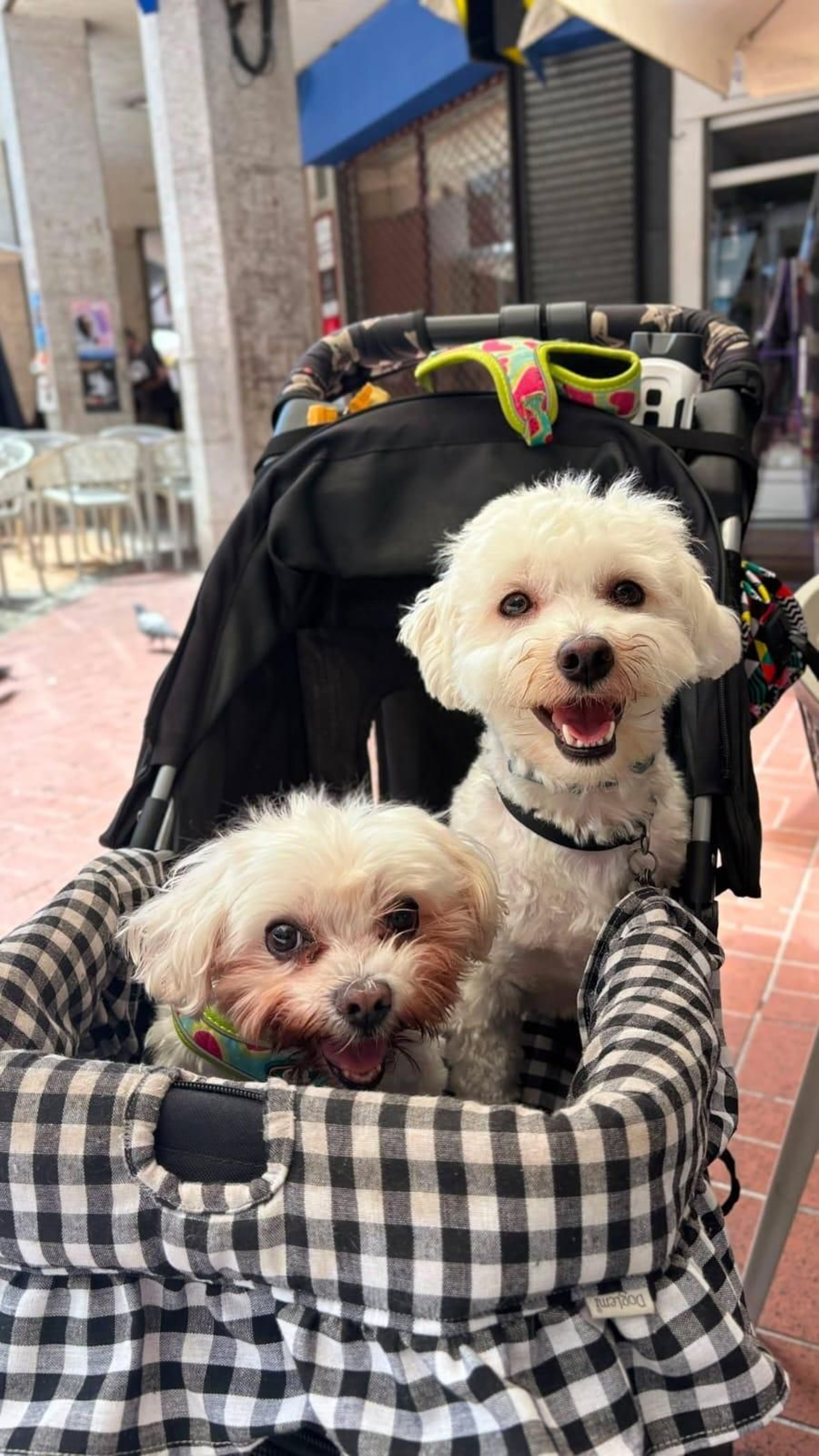 Tula y Lea
