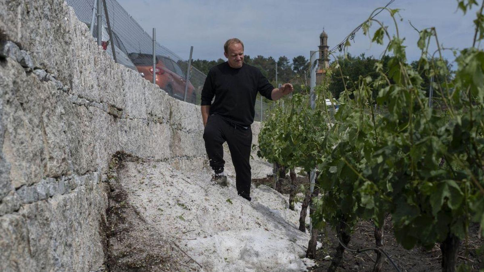 El granizo se llevó el cultivo de las viñas.
