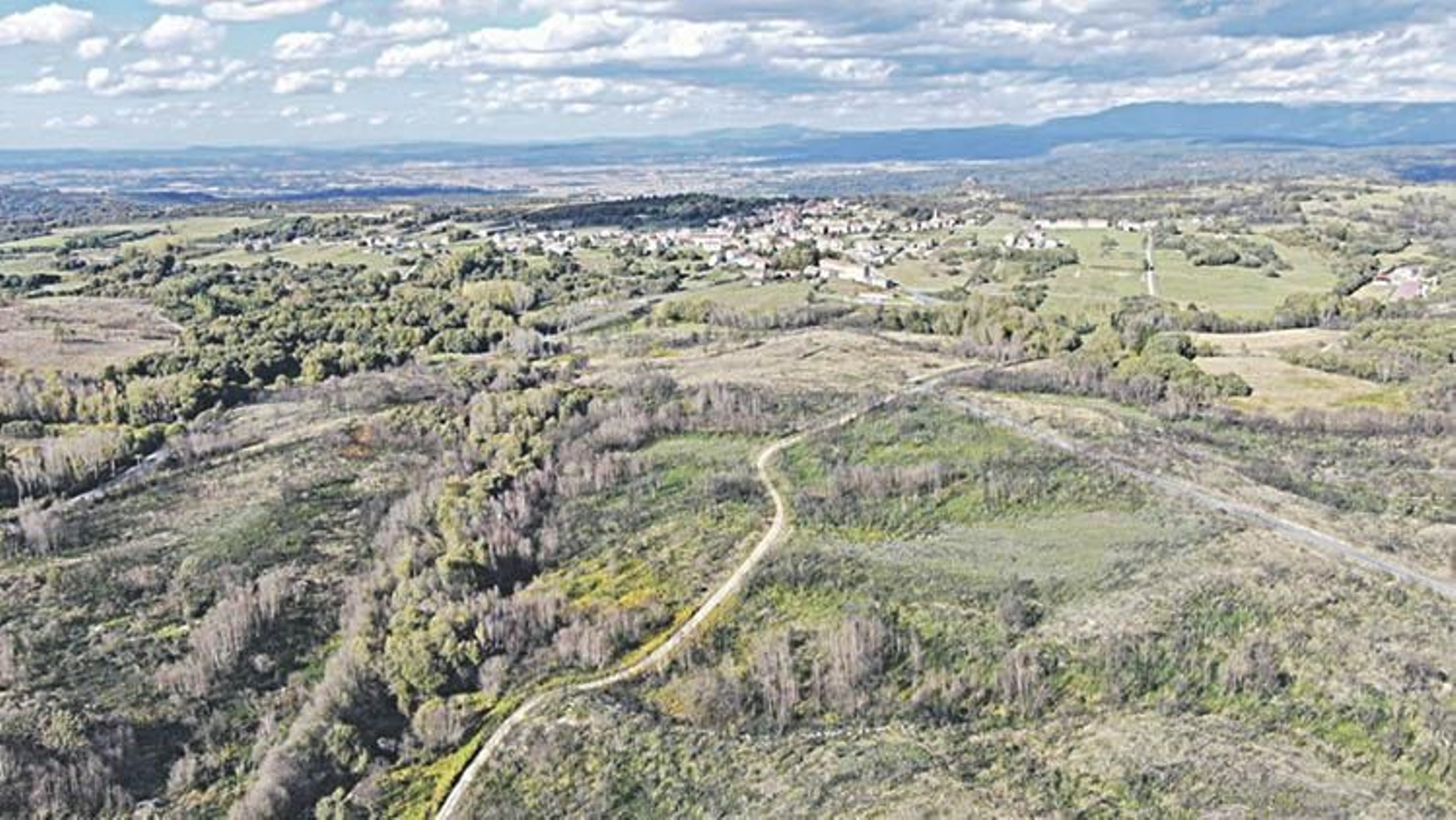 Terrenos que ocupará el polígono agroforestal del municipio de Cualedro.