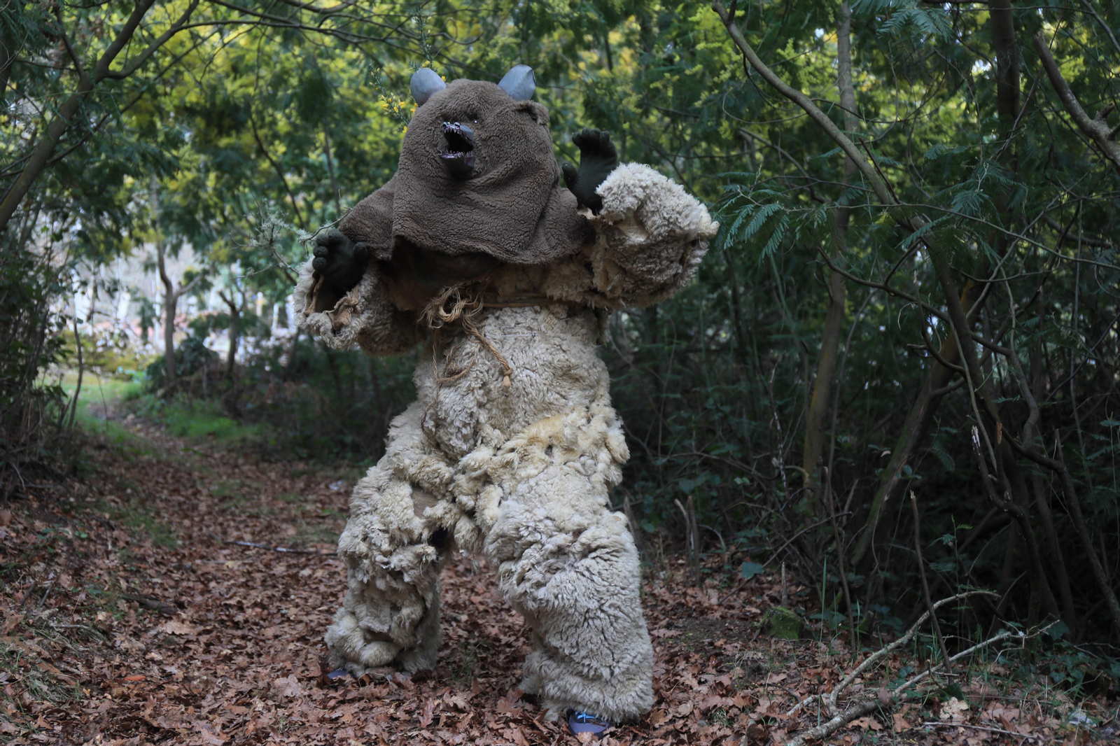 Caza del oso en Sande, Cartelle. José Paz