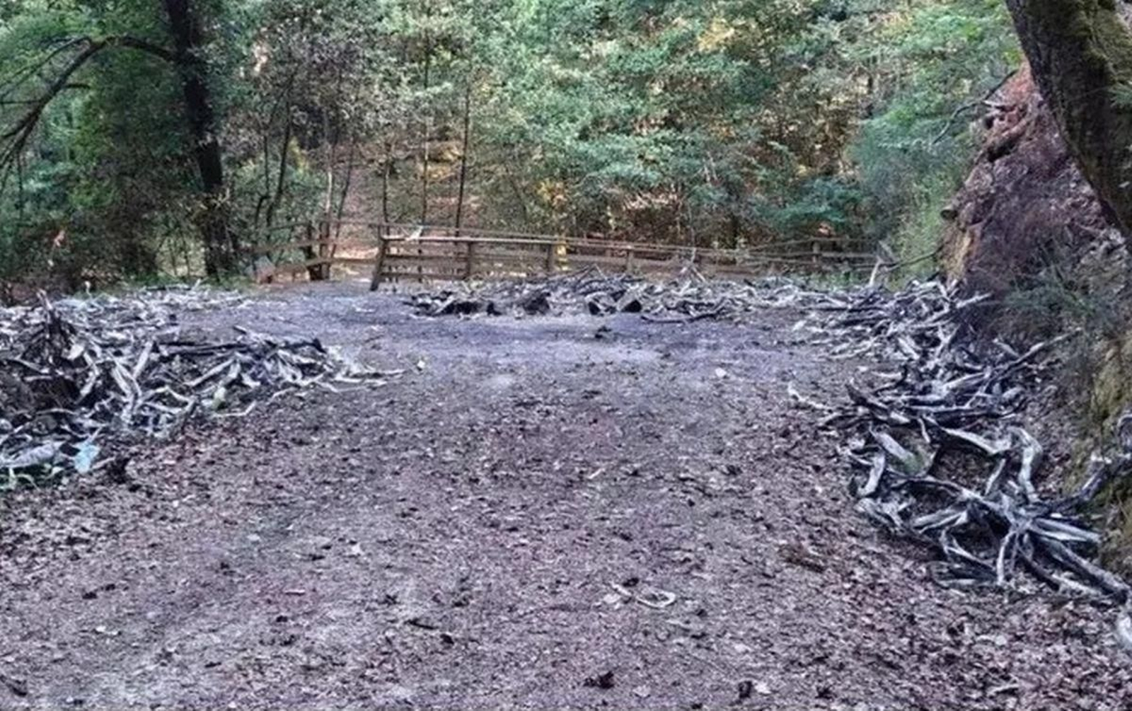 Cable de cobre quemado, que fue encontrado en la provincia.