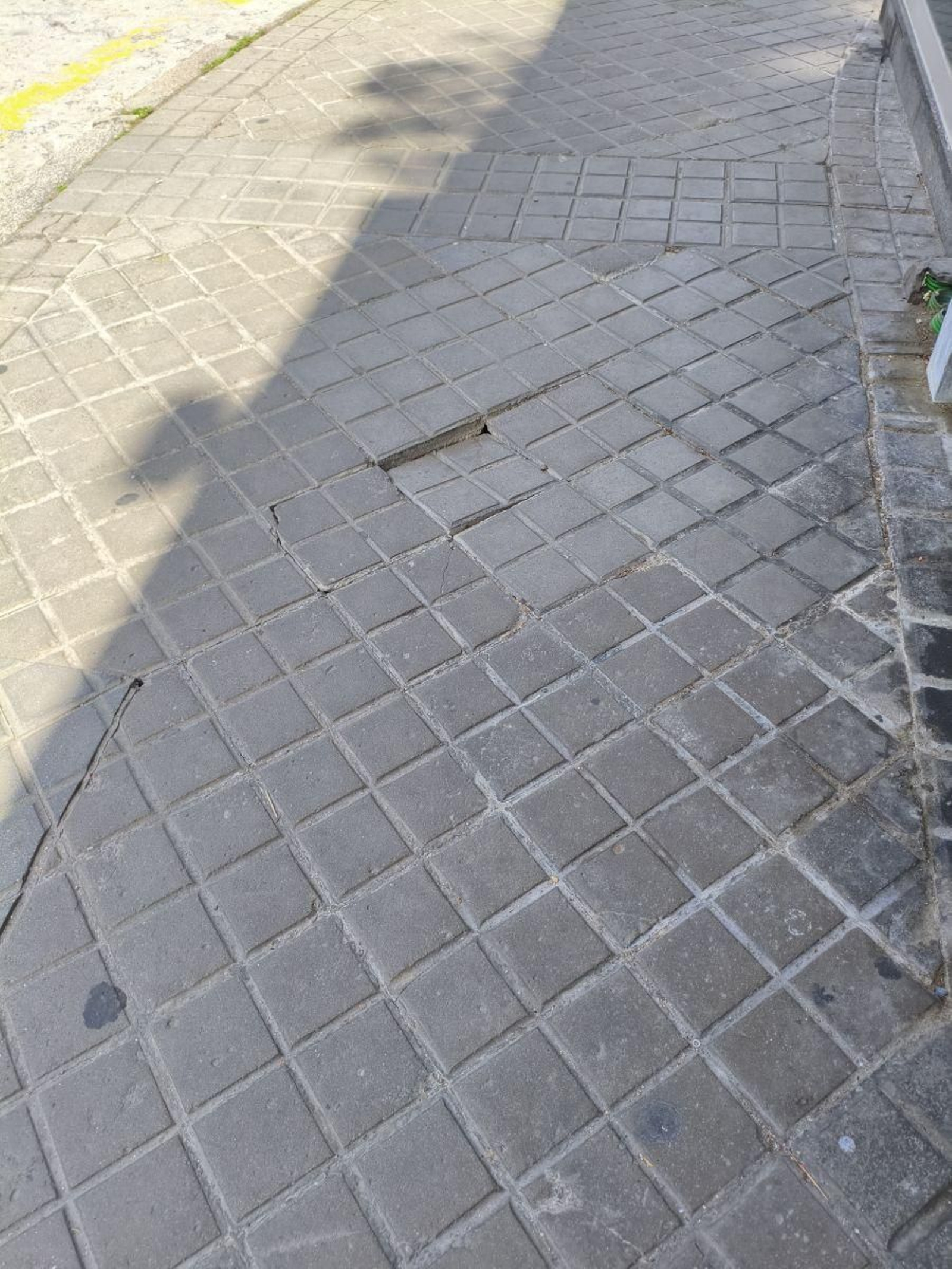 Trampa esperando víctima