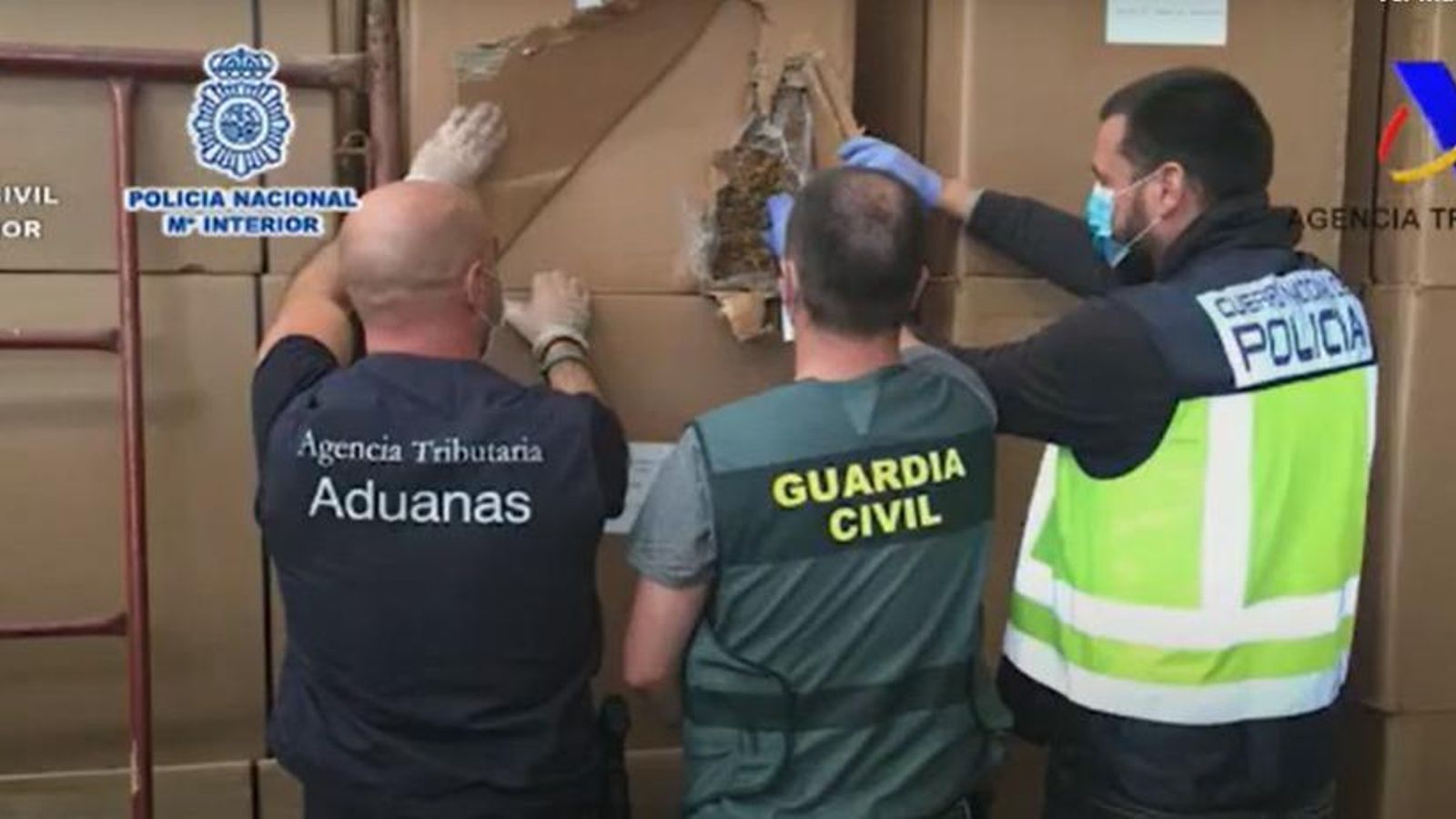 Alijo de tabaco ilegal localizado en Coles en agosto de 2020