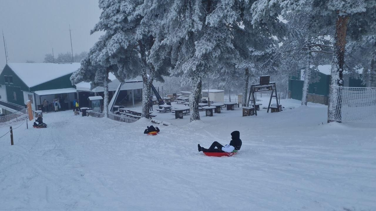 Los trineos han causado furor en Manzaneda esta mañana.