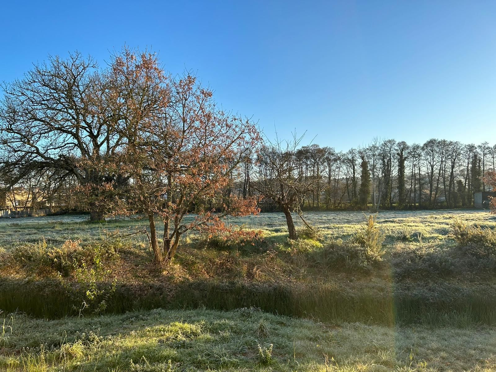El sol y el frío, protagonistastas este domingo en Ourense.