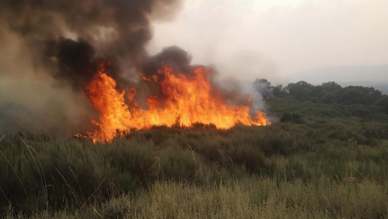Incendio en A Mezquita.