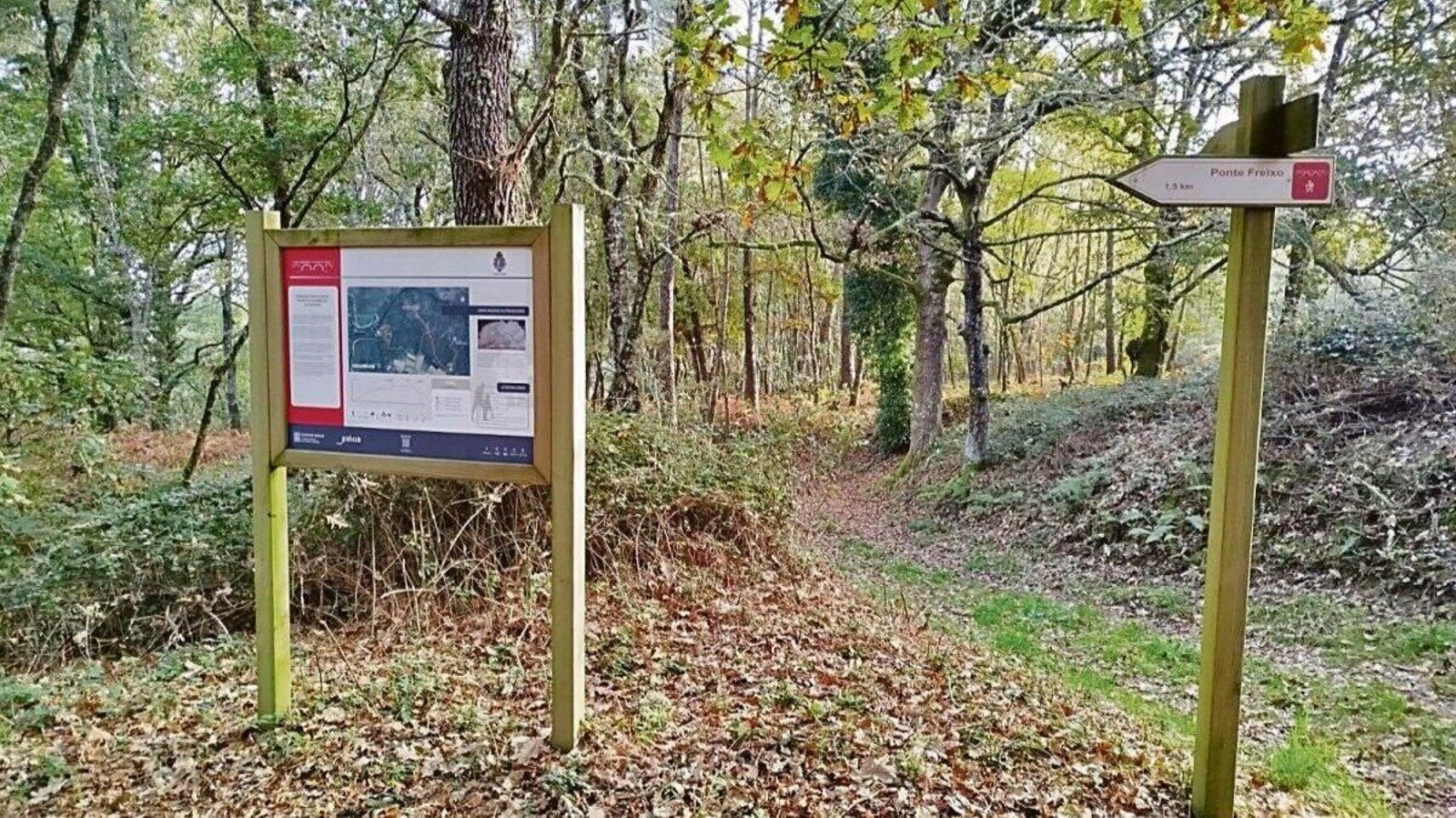 La ruta de los petroglifos de Freixo ha sido objeto de una limpieza.