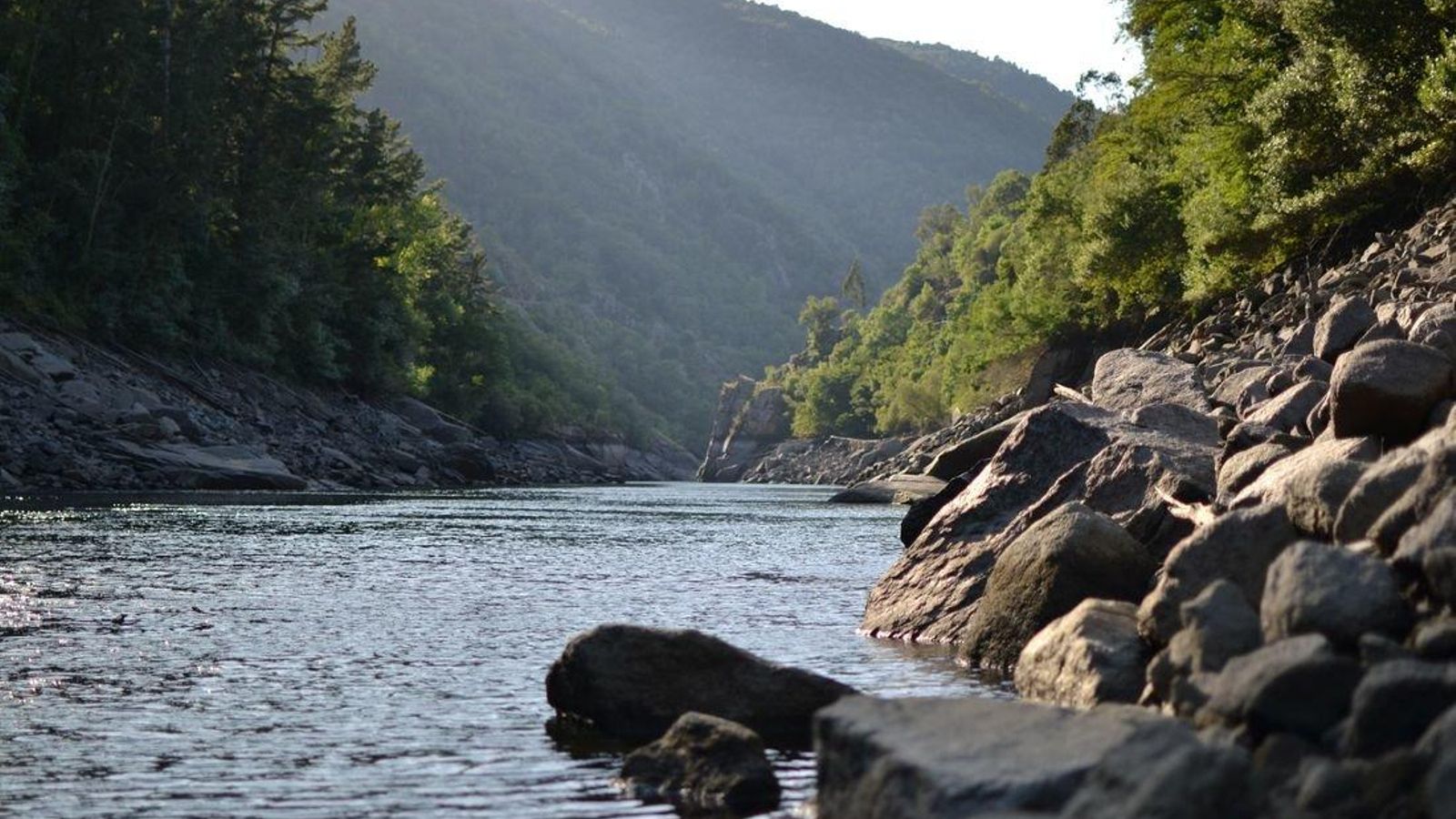 sergio-vilas-bYJjlP_Z4Vw-unsplash_resultado