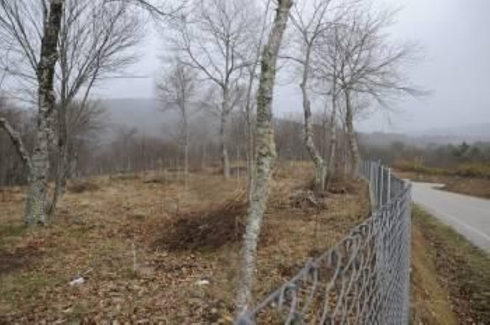 La finca de 65.000 metros cuadrados está situada en el municipio de Beariz. (Foto: MARTIÑO PINAL)