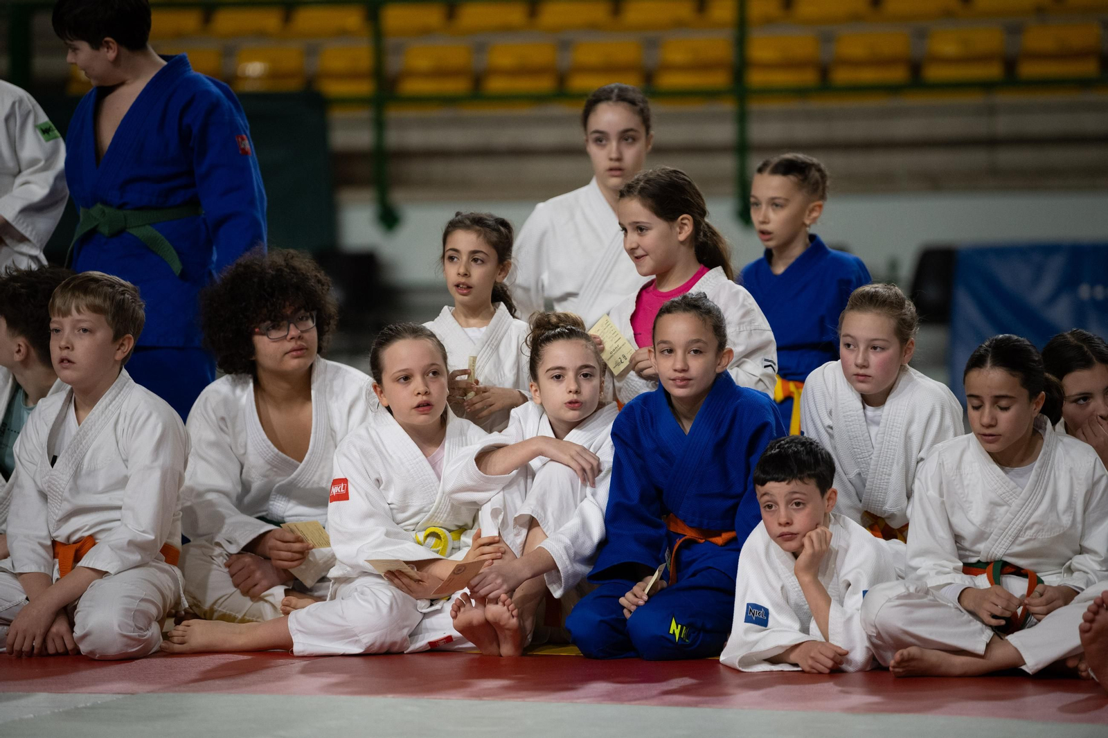 Galería | El judo arranca una edición más de su Copa Diputación