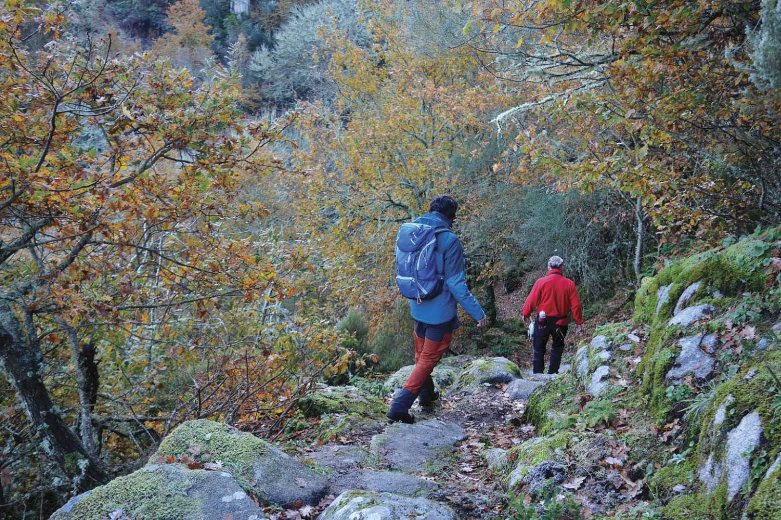 Algunos de los participantes en las anteriores ediciones de las rutas culturales.