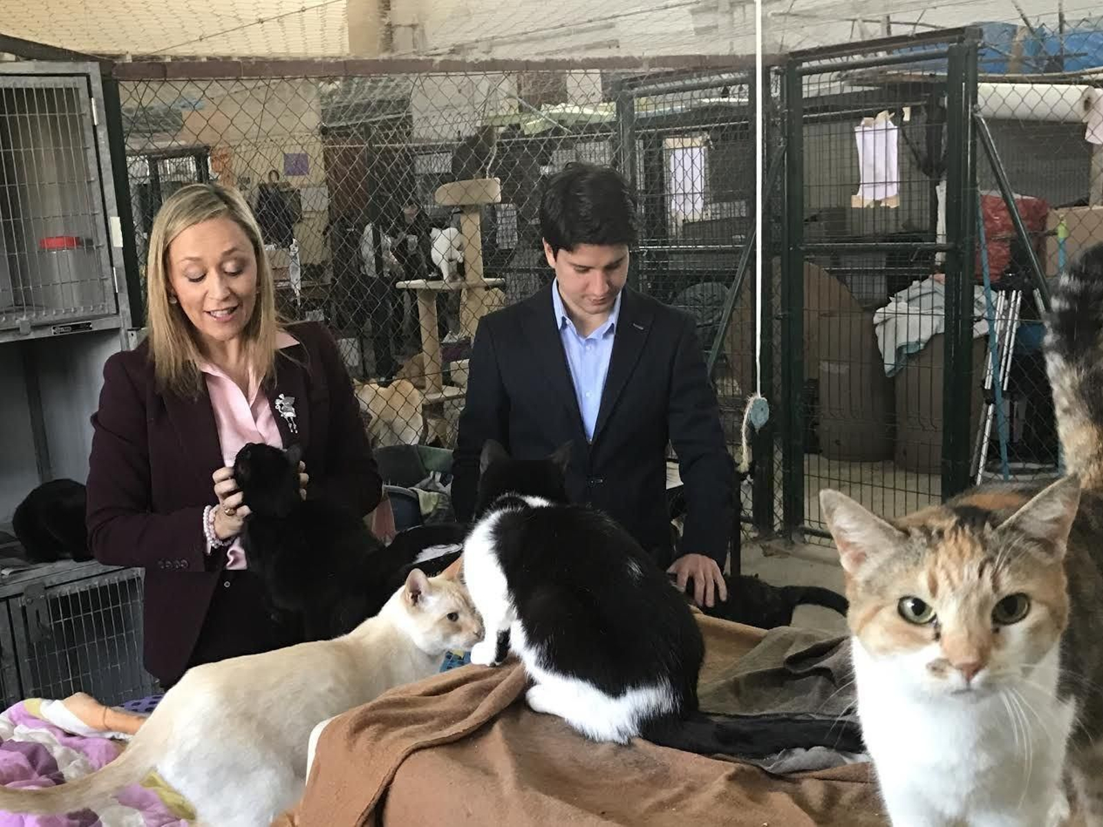 Elena Muñoz y el también concejal del PP, ayer en las instalaciones de Proyecto Gato Vigo.
