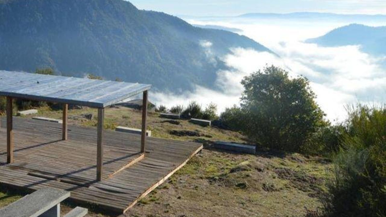 __uploaded_miradoralampa_result