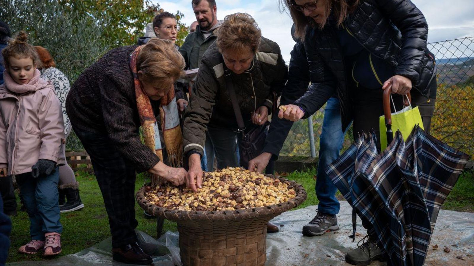 Hay que ser escogidos con las castañas.