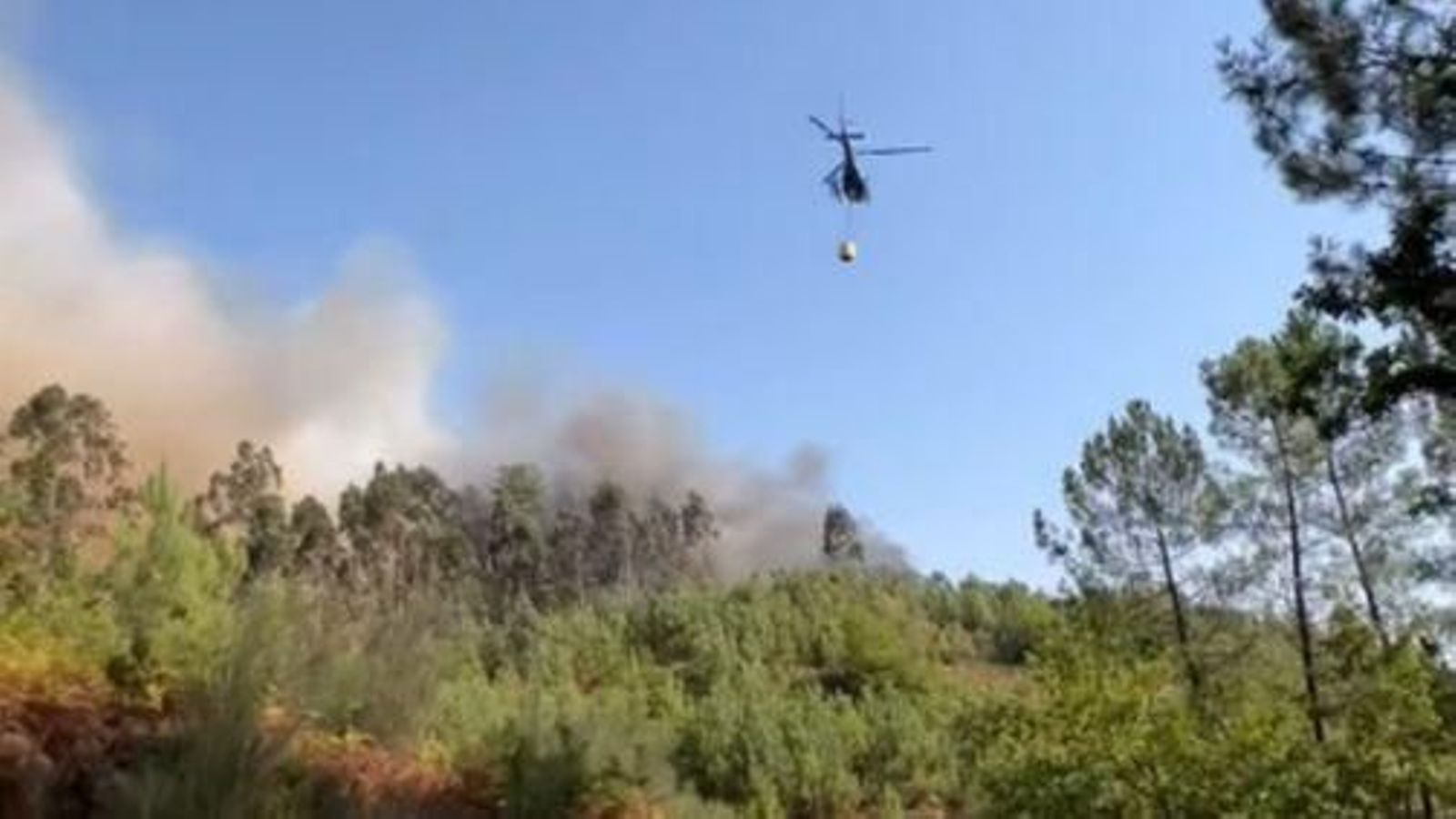 Incendio forestal en Ponteareas.