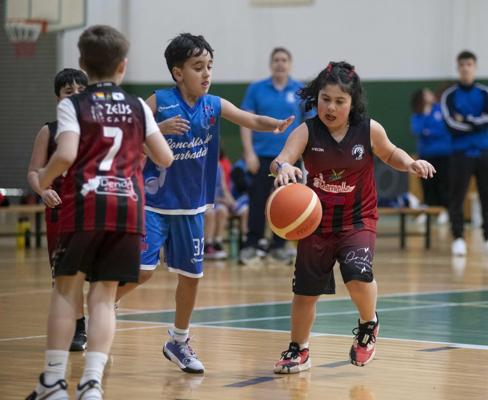 Galería | Concentración de Minibasket en Verín