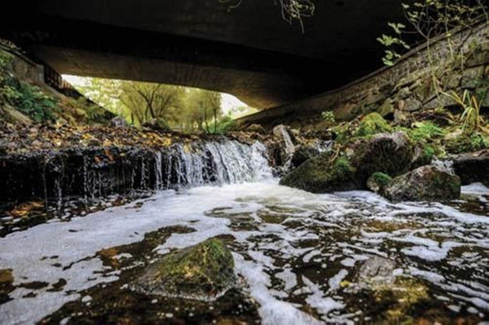 Vertidos en el río Barbaña.