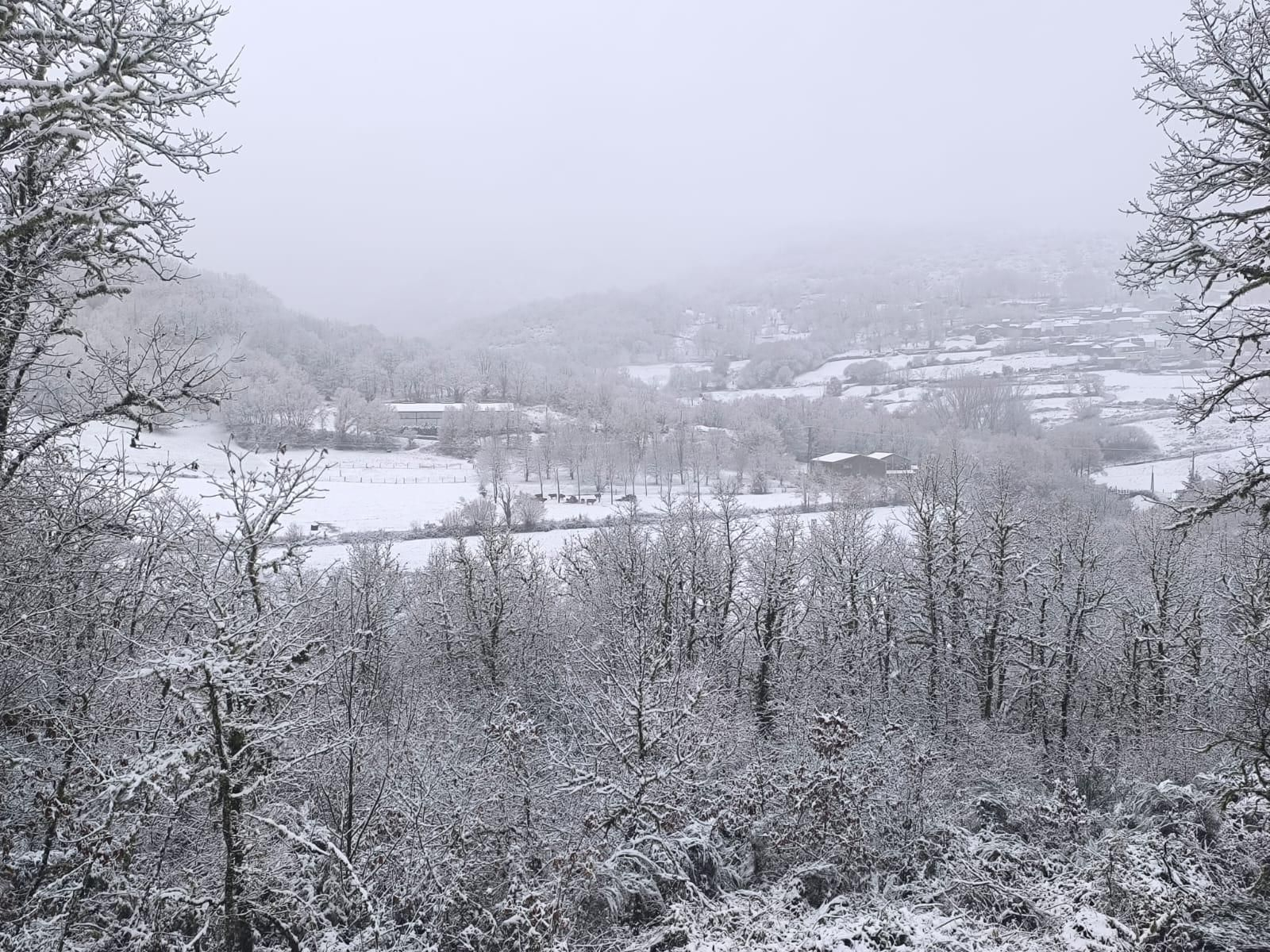 Galería | La borrasca Ingrid y la nieve pintan de blanco la provincia de Ourense, en imágenes