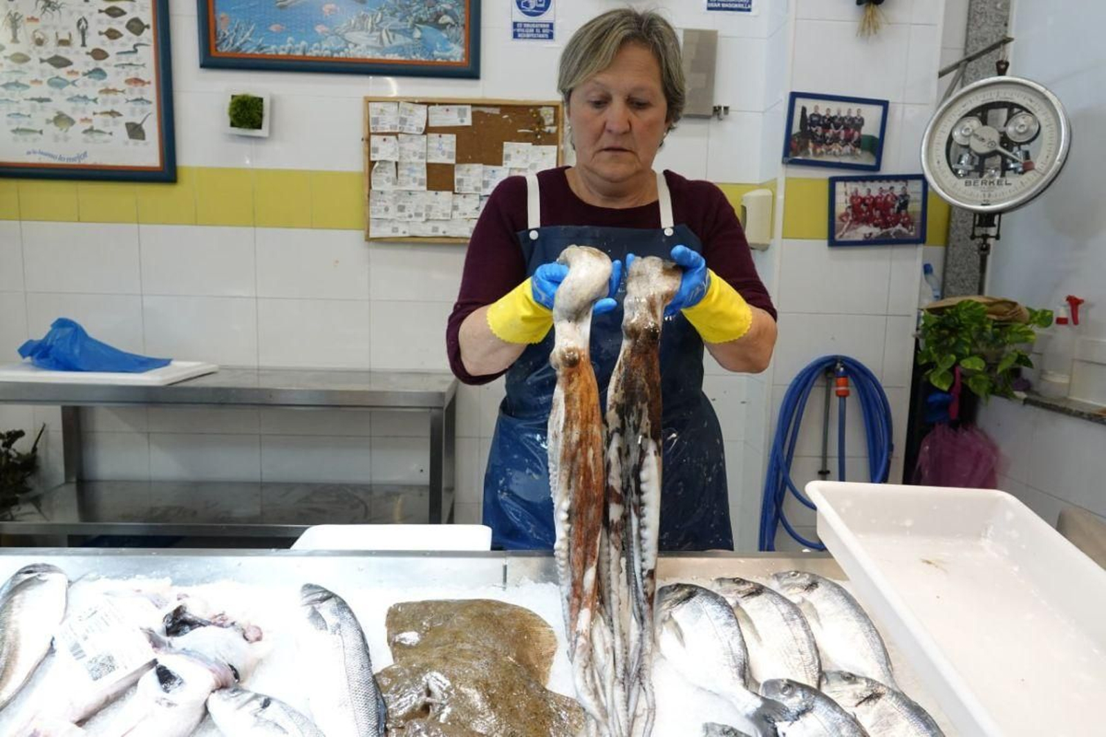 Dos de los últimos ejemplares de pulpo de la campaña, ayer en un mercado de Vigo.