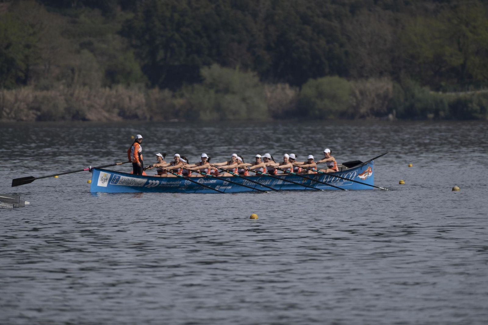 Galería | Las traineras conquistan y brillan en Castrelo de Miño