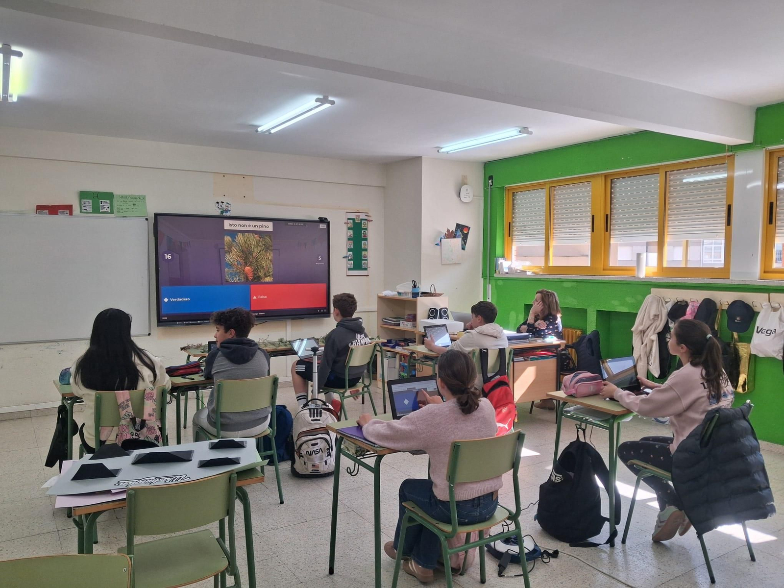 Actividades de coidado da contorna en Trives