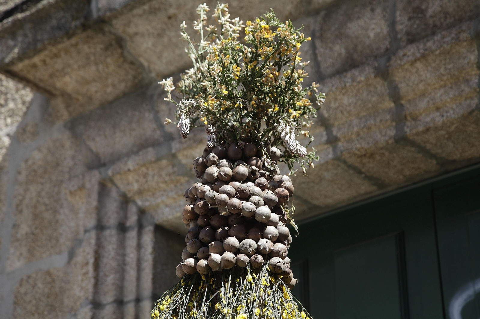 Celebración Maios en Ourense
