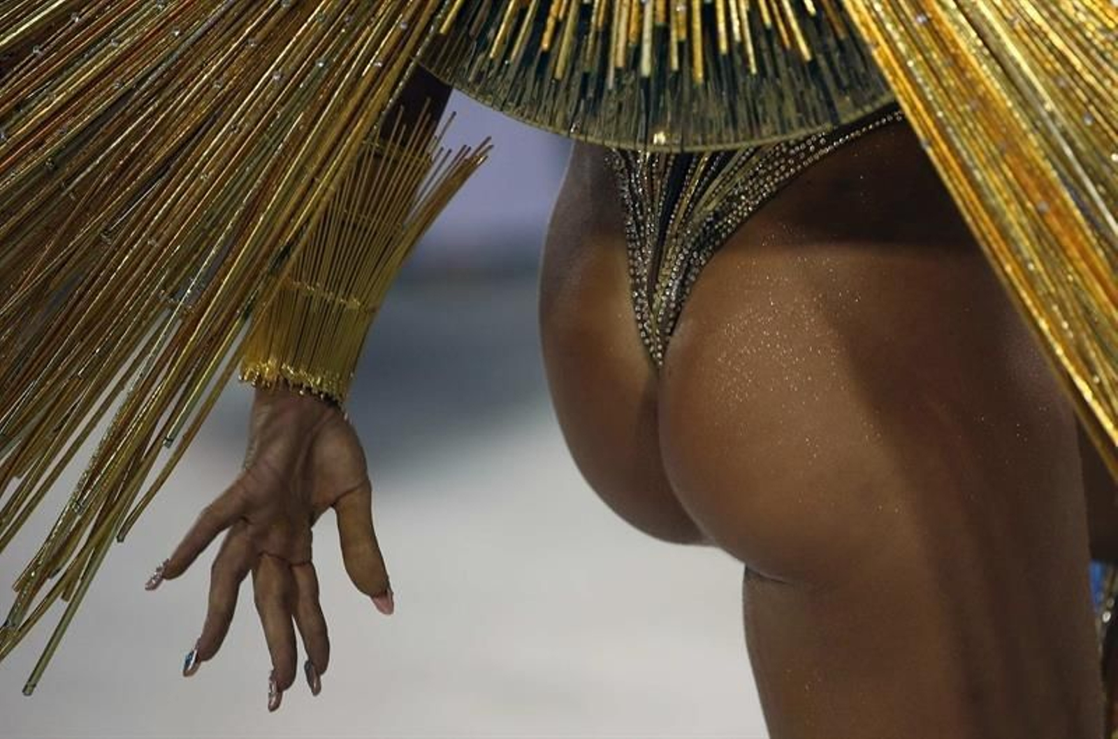 Celebración del carnaval en Río de Janeiro 20